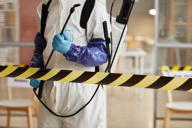 Professional Sewage Cleanup technician working in Woods Hole, MA